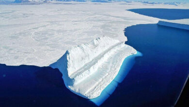 pagetonas antarktikh